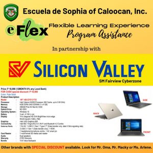 eflex-silicon-valley